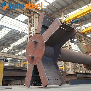 Custom Special Steel Structure for Complex Industrial Projects